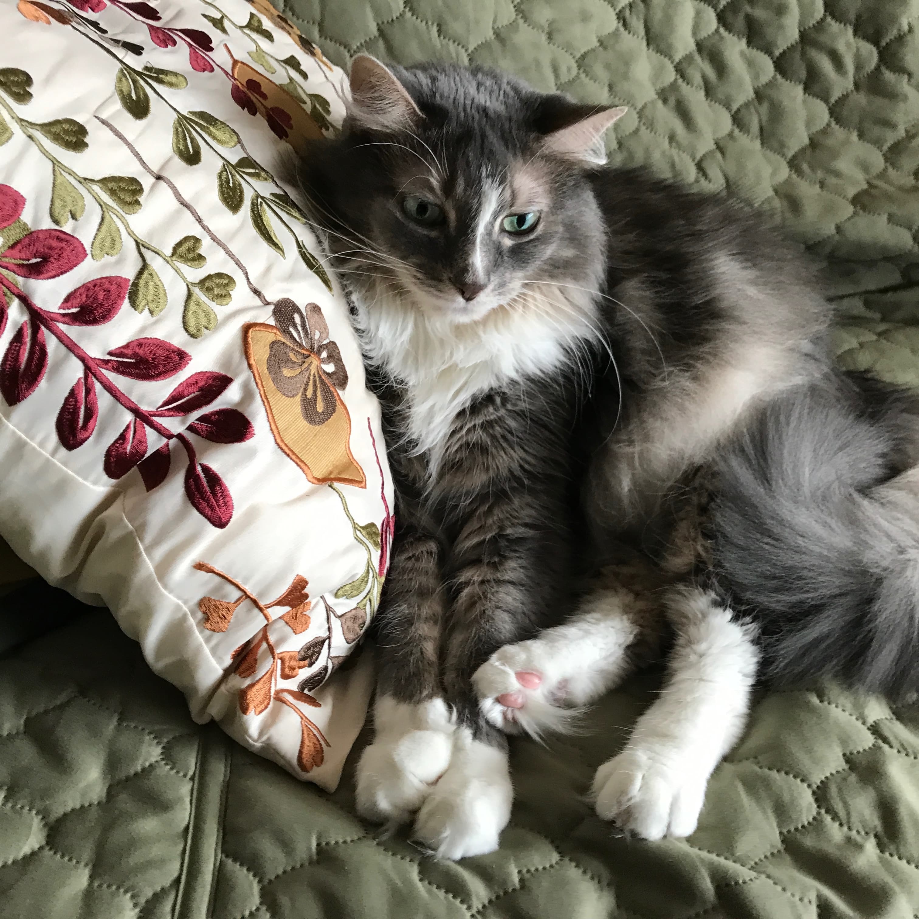 Memorial photo of Casper
