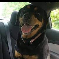 Memorial photo of smokey